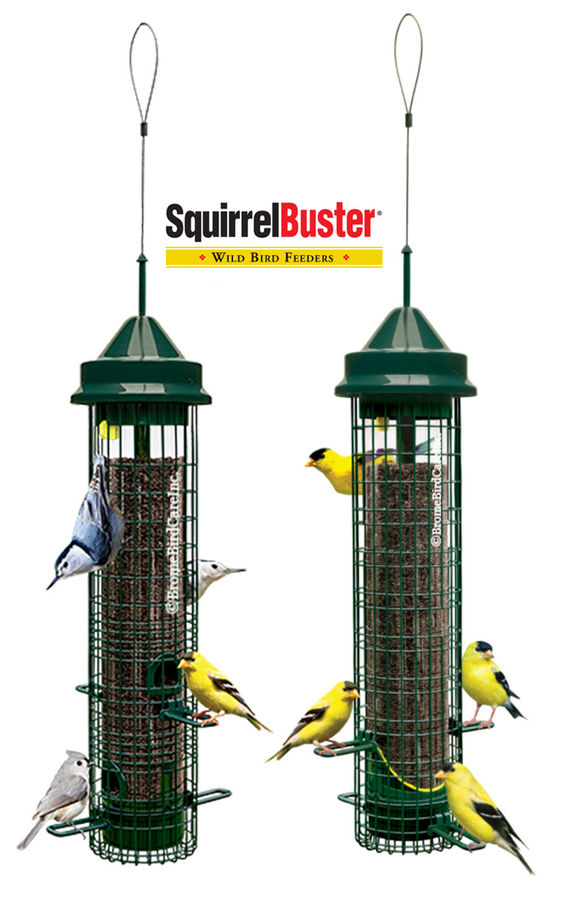 Fairplay Wild Bird Centre product in Calgary